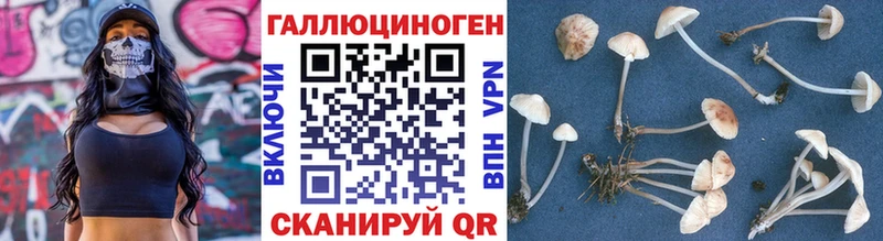где можно купить наркотик  Талдом  МЕГА ссылка  Галлюциногенные грибы Magic Shrooms 