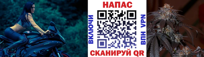 Бошки Шишки OG Kush  Талдом 